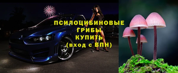 индика Белокуриха