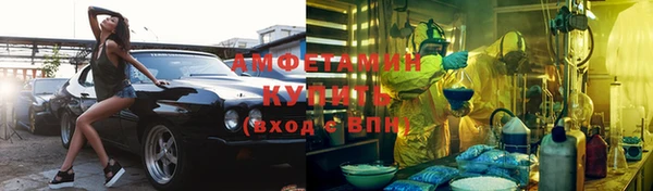 индика Белокуриха