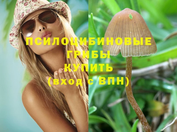 ПСИЛОЦИБИНОВЫЕ ГРИБЫ Белоозёрский