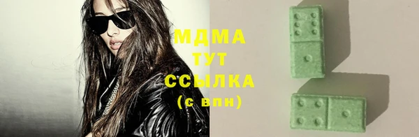 индика Белокуриха