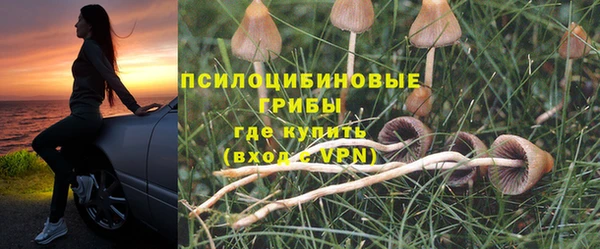 индика Белокуриха