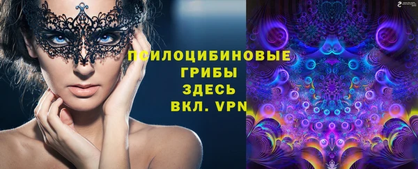 индика Белокуриха