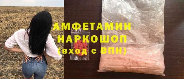 индика Белокуриха