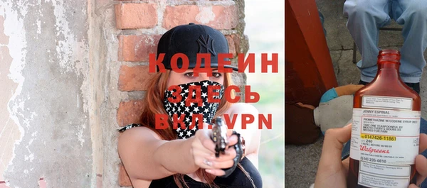 индика Белокуриха