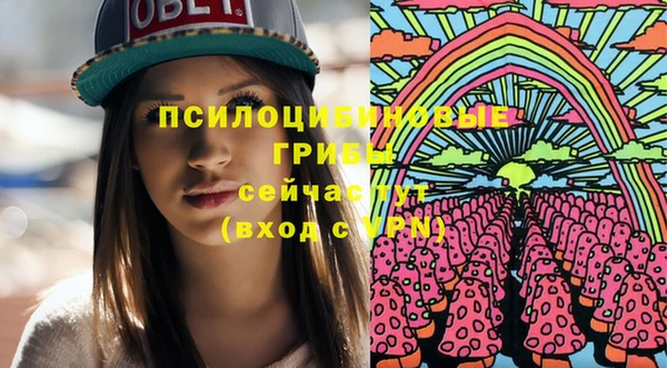 индика Белокуриха