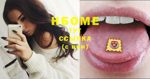 индика Белокуриха