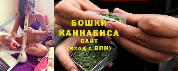 ПСИЛОЦИБИНОВЫЕ ГРИБЫ Белоозёрский