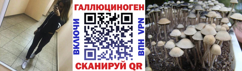 Псилоцибиновые грибы Psilocybe  Реж 